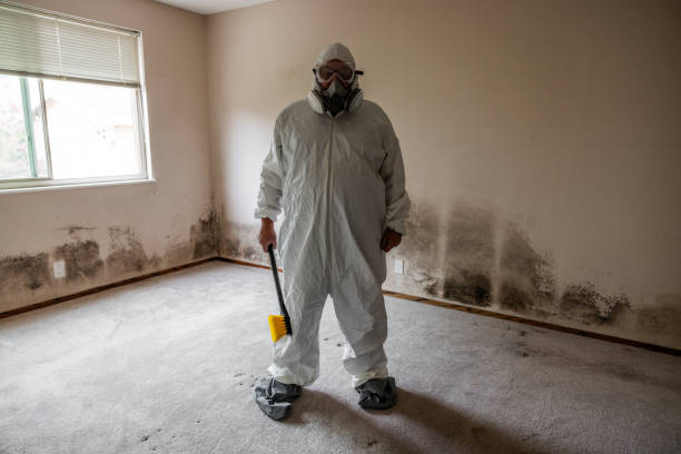 Best Mold Remediation  in Camden, OH